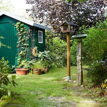 Bed & Breakfast Wesseloh Schneverdingen Eksteriør billede
